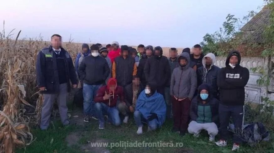 26 de cetăţeni din Pakistan, Bangladesh și India, ascunși în lanul de porumb, descoperiți de Poliția de Frontieră Română