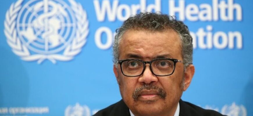 113311957 8a148aa6 16be 4c2f baf4 7c2183a6df12