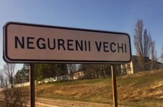 Alegerile locale noi: Candidatul PDM a câștigat alegerile din satul Negurenii Vechi, raionul Ungheni