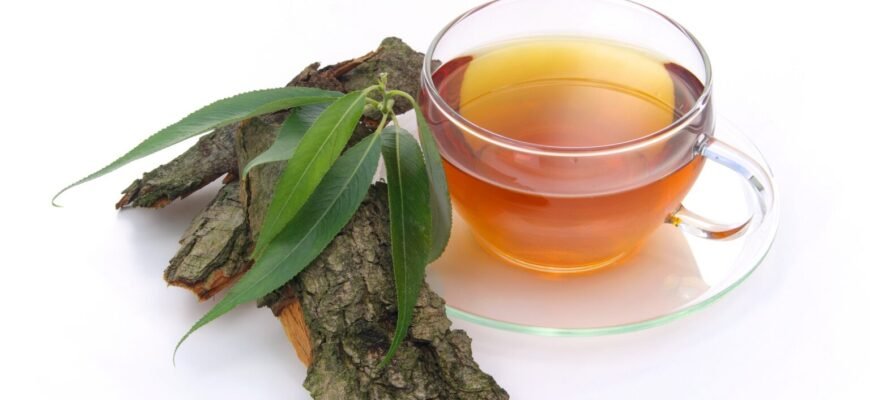 Ceaiul de salcie – tratament natural împotriva durerilor. Iată ce afecțiuni poți trata cu acest remediu