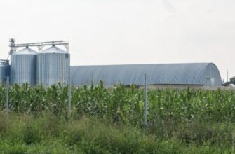 Fost angajat al ASP Glodeni, reținut pentru trafic de influență: Ar fi luat mită pentru a legaliza două construcții