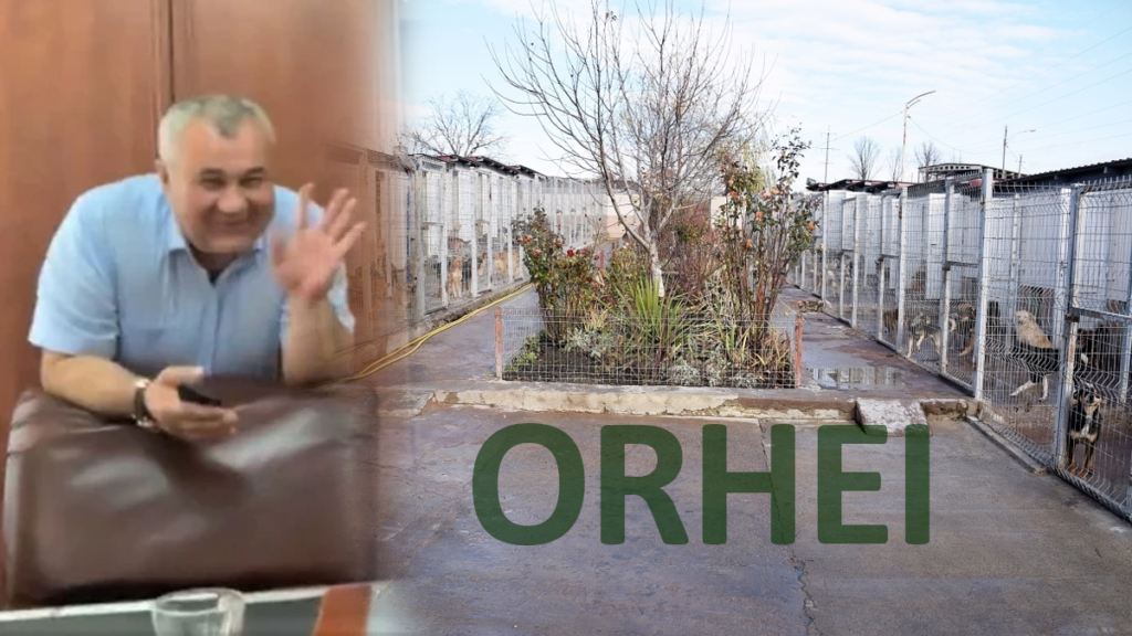 orhei grigorisin loh nicolai