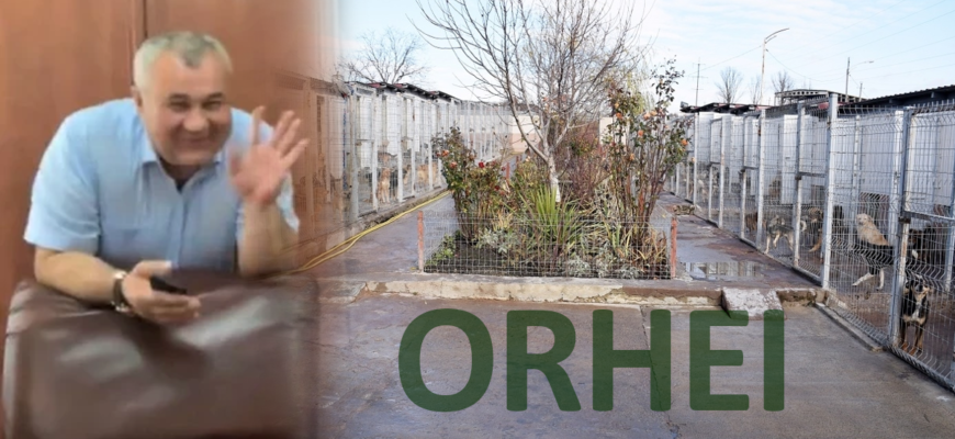 orhei grigorisin loh nicolai