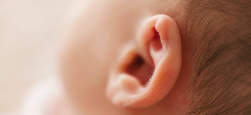 macro photography of babys ear