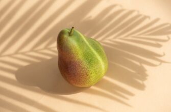 fresh organic fruit pear located against white surface in sunbeam