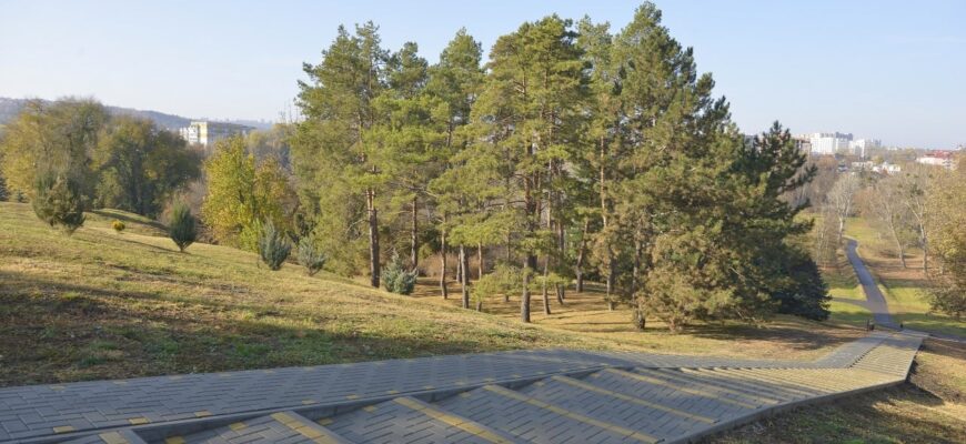 schimbarea la fata a parcului dendrariu