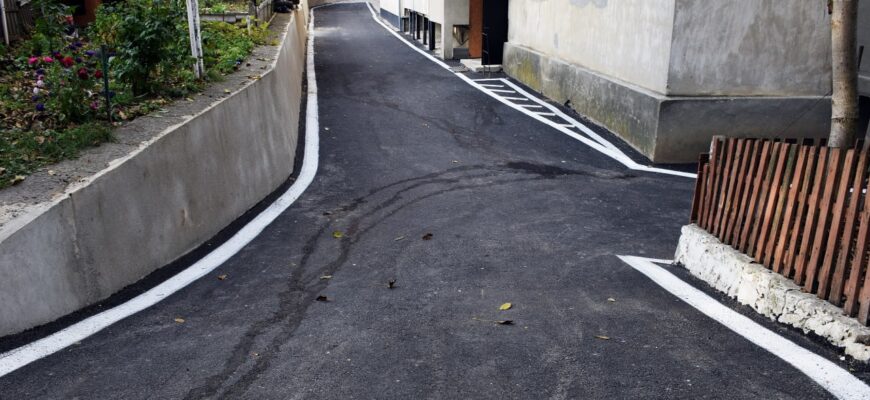 tamara ciobanu 2021 11 11 14.22.03