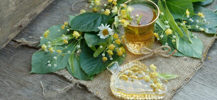 ceaiul de tei 990x659 1