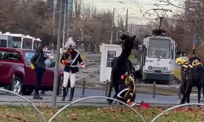 incident jenenat de ziua nationala 41434300