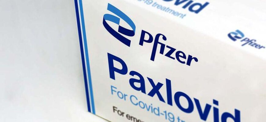 paxlovid rarrarorro shutterstock.com