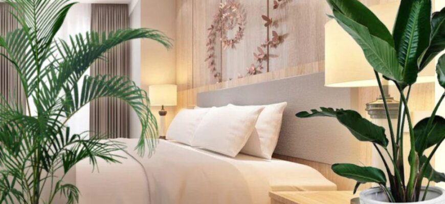 plantele langa care nu trebuie sa dormi. nu le mai tine in dormitor ce trebuie sa faci cu ele 1024x683 1