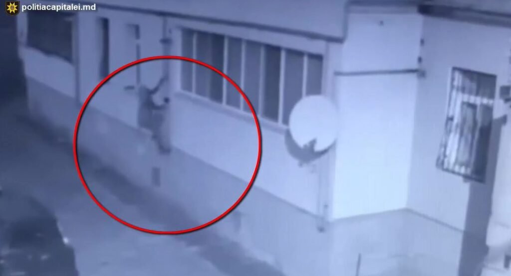 Doi tineri de 20 și 23 de ani riscă până la 12 ani de închisoare fiind suspectați de furt în proporții deosebit de mari 1 Doi tineri de 20 și 23 de ani riscă până la 12 ani de închisoare fiind suspectați de furt în proporții deosebit de mari