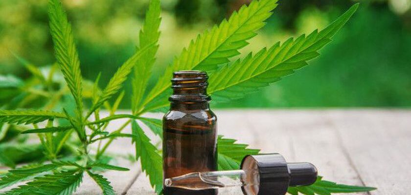 ulei de canabis 1
