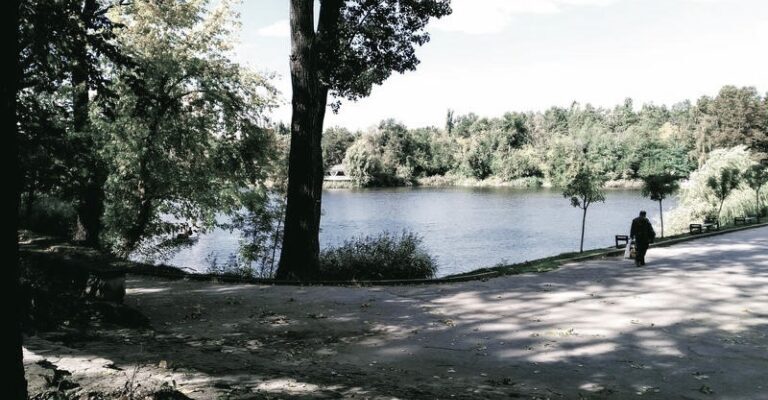 0a99227a d82a 4966 b728 7291c96a194a 768x432 1