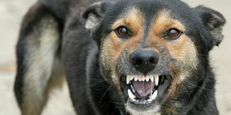 3946cc5a2ed843c2c9fca0b4efcd28ba xl