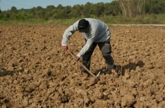 Moldoveni, exploatați de români în Spania. Erau ținuți într-un garaj, flămânzi, neplătiți și amenințați cu moartea