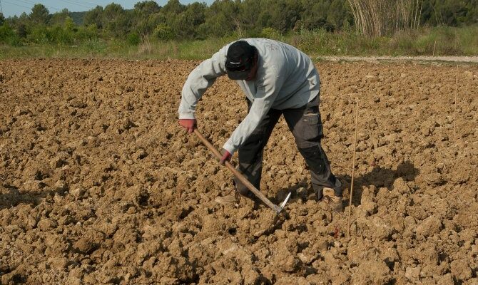 agricultura muncitor pe camp