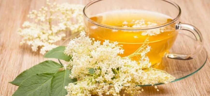 ceai de soc 990x660 1