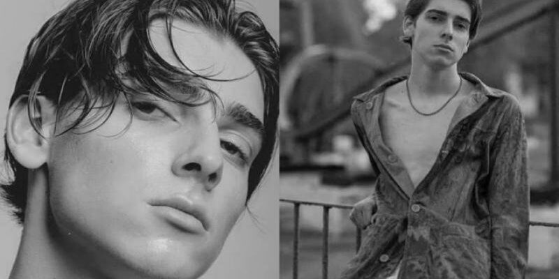 criza 1641796019 modeling