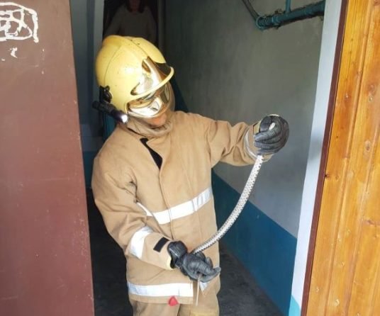 VIDEO// Mai mulți șerpi au invadat subsolul unei grădinițe din Cahul: A fost nevoie de intervenția salvatorilor