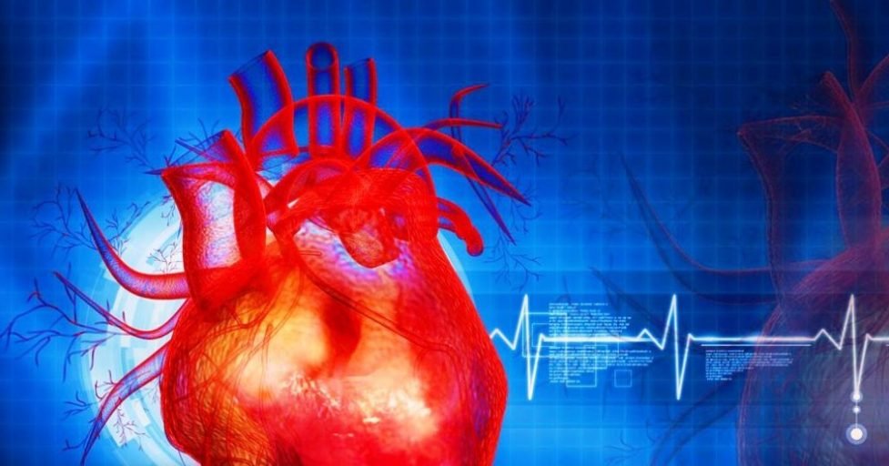 Sănătatea inimii depinde de cum trăiești fiecare zi: Obiceiurile zilnice care dăunează inimii pe termen lung