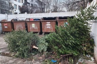 Acțiunea de colectare a brazilor utilizați la sărbători va dura până pe 11 februarie