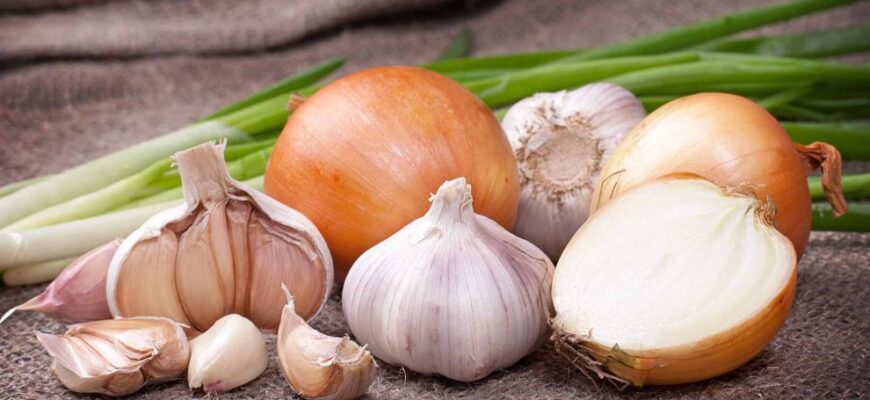 ceapa usturoi 990x556 1