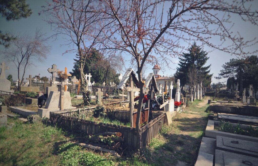 coroanele de flori artificiale din cimitire sunt o sursa de poluare
