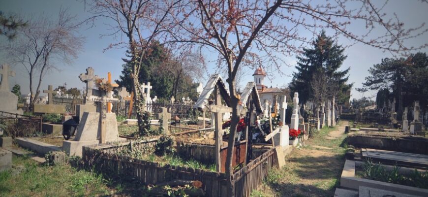 coroanele de flori artificiale din cimitire sunt o sursa de poluare