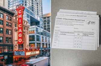 Două colete pline cu certificate false de vaccinare din Moldova, confiscate de ofițerii vamali din Chicago
