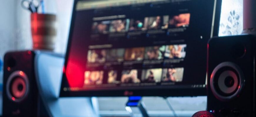 site urile pornografice obligate prin lege sa verifice varsta fiecarui vizitator