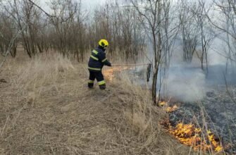 323 hectare de vegetație au fost stinse de pompieri în ultimele 24 de ore