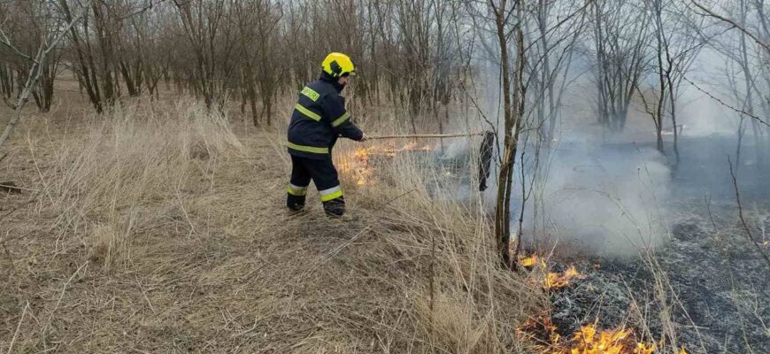 323 hectare de vegetatie au fost stinse de pompieri in ultimele 24 de ore