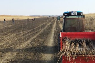 A fost dat startul campaniei de împădurire 2022 în parcului național „Nistrul de Jos”