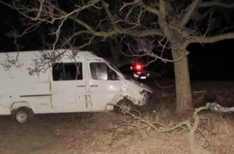 A răpit un automobil dintr-un garaj, după care s-a izbit cu acesta într-un copac de pe acostament. Tânărul a decedat pe loc