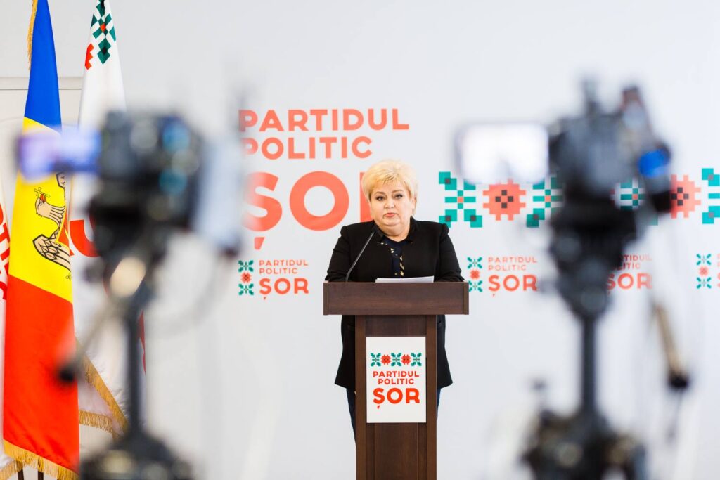 briefing de presa sustinut de catre deputata partidului sor reghina apostolova