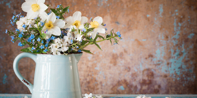 odamagfzad01mdbknzvinwjkn2rkytnhnwiwzgzlzwuwntzlmda1nw.thumb