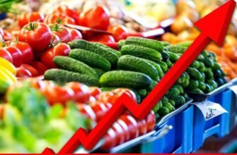 VIDEO// Ex-ministru al Agriculturii: Prețul la produsele agroalimentare va CREȘTE enorm ceea ce va influența negativ puterea de cumpărare a populației