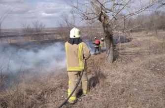 Record de misiuni a pompierilor la lichidarea focarelor de vegetație arsă