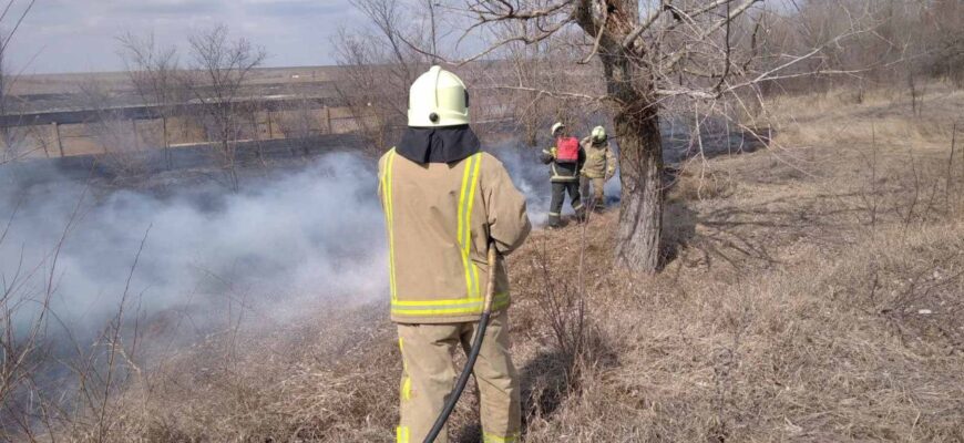 record de misiuni a pompierilor la lichidarea focarelor de vegetatie arsa