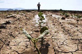 VIDEO// Agricultorii bat alarma: Riscăm să lucrăm în pierderi sau chiar deloc să nu activăm