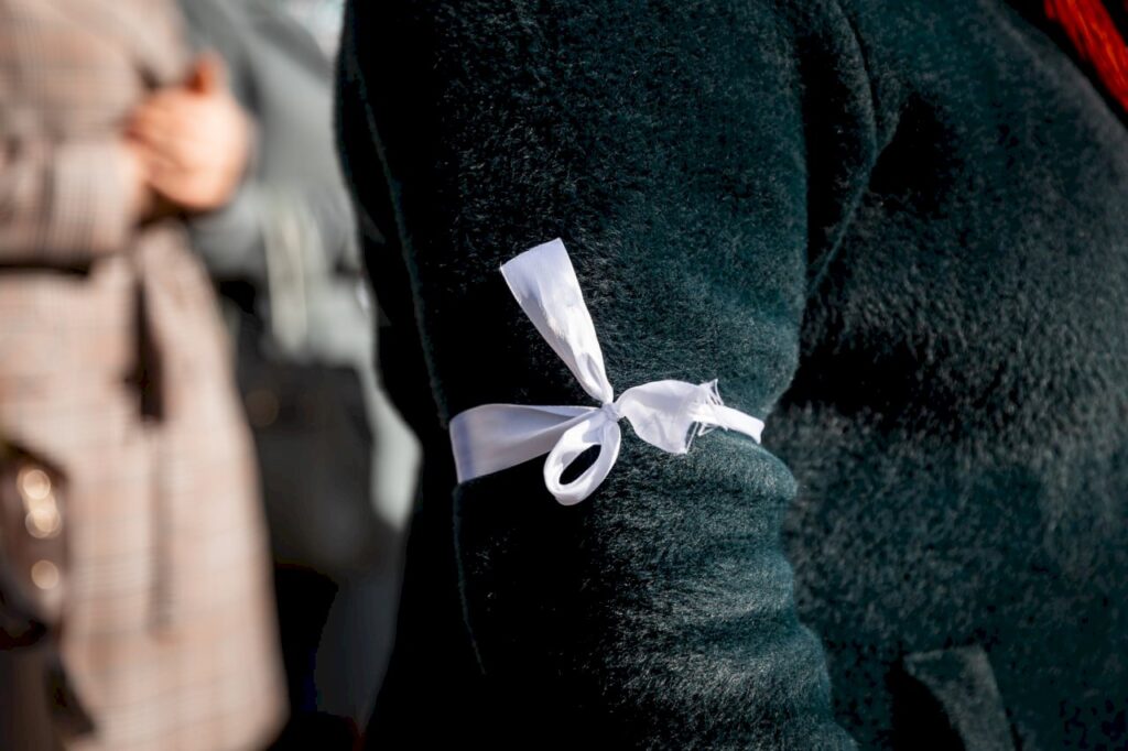 scolile gradinitele si institutiile publice din orhei au intrat in greva japoneza