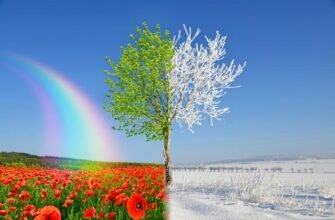 Primăvara sau iarna? Schimbare bruscă a vremii, ninsoare și lapoviță