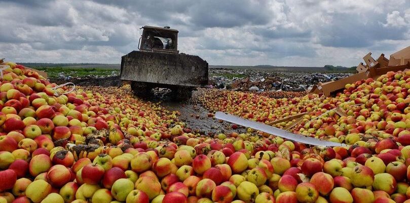120 000 de tone de mere sunt stocate in moldova