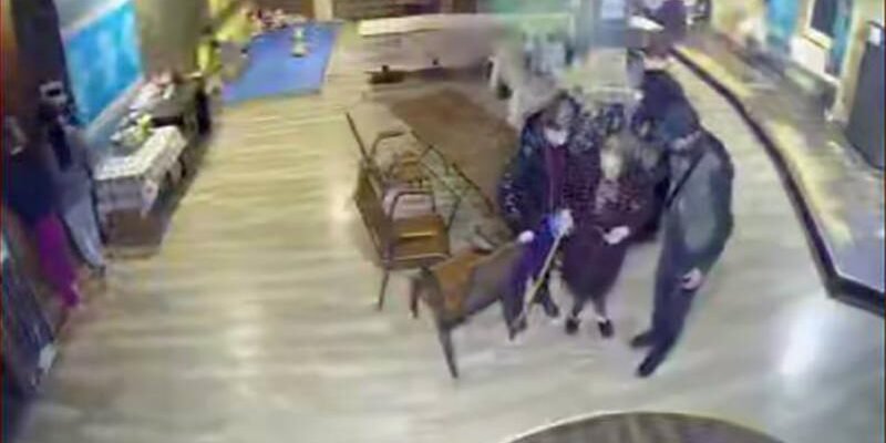Cine minte? Imagini cu familia, refuzată să fie cazată la Moldexpo, făcute publice. Guvernul neagă acuzațiile