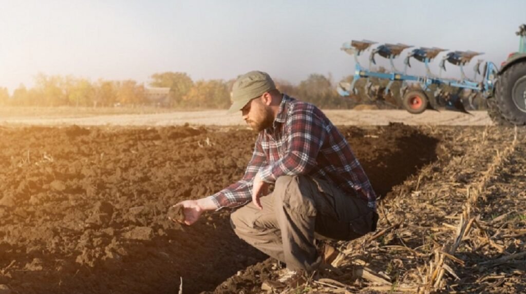 Ministrul Agriculturii: Fondul de sprijin al agricultorilor va constitui aproximativ 2 miliarde de lei