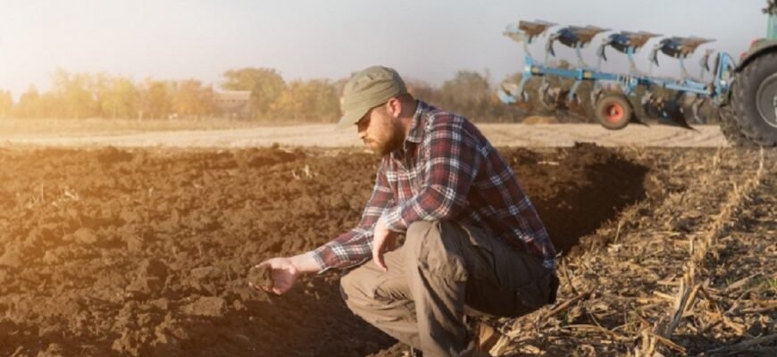 Ministrul Agriculturii: Fondul de sprijin al agricultorilor va constitui aproximativ 2 miliarde de lei