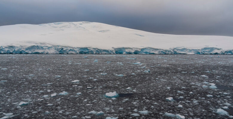 odamad00ndamagfzad0xnji1mtg3njbhm2zizjk0njc2ymfkmwy5otk5zta4ma.thumb