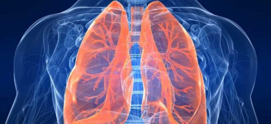 plamani sanatosi 990x557 1