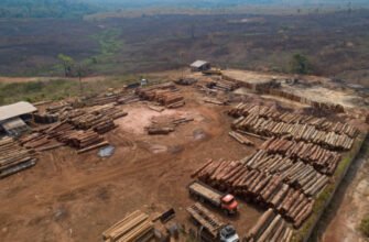 CNN: Suprafața de păduri tropicale distruse în 2021 este mai mare decât teritoriul Cubei